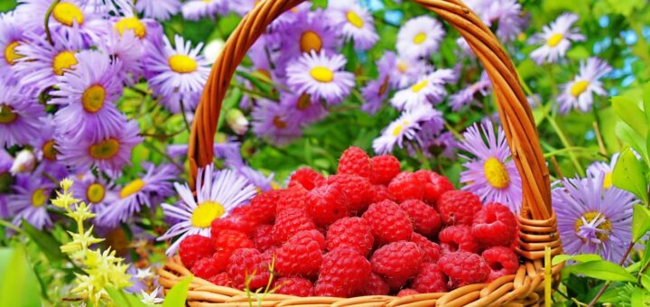 Корзина с малиной