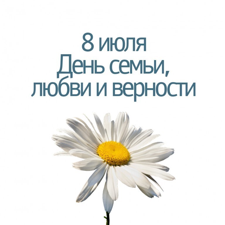 Какой полевой цветок является символом летнего праздника дня семьи любви и верности