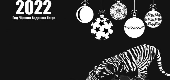 Год черного водяного тигра