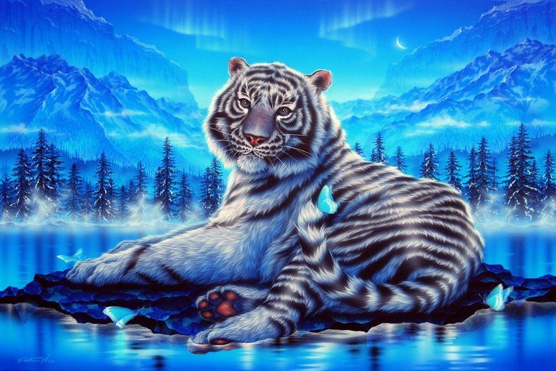 новый год водяного тигра