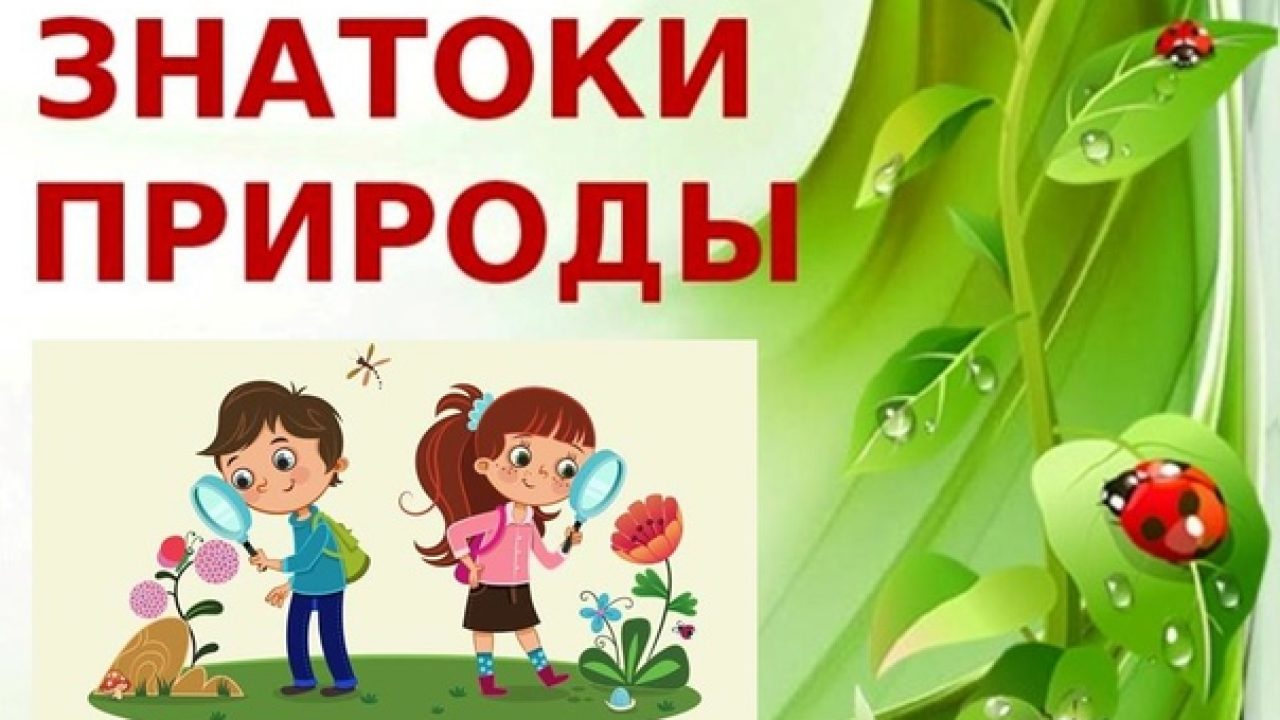 Картинка знатоки природы для детей