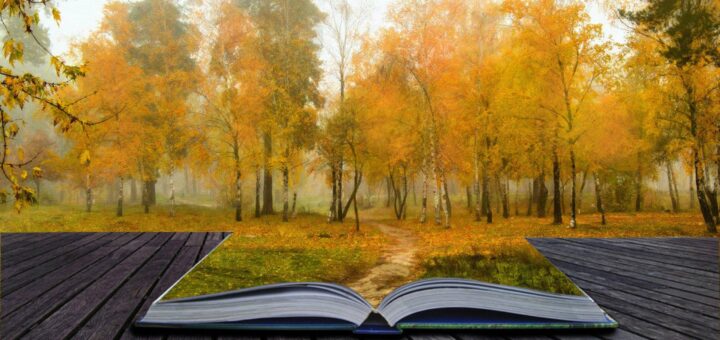 Час осенней поэзии