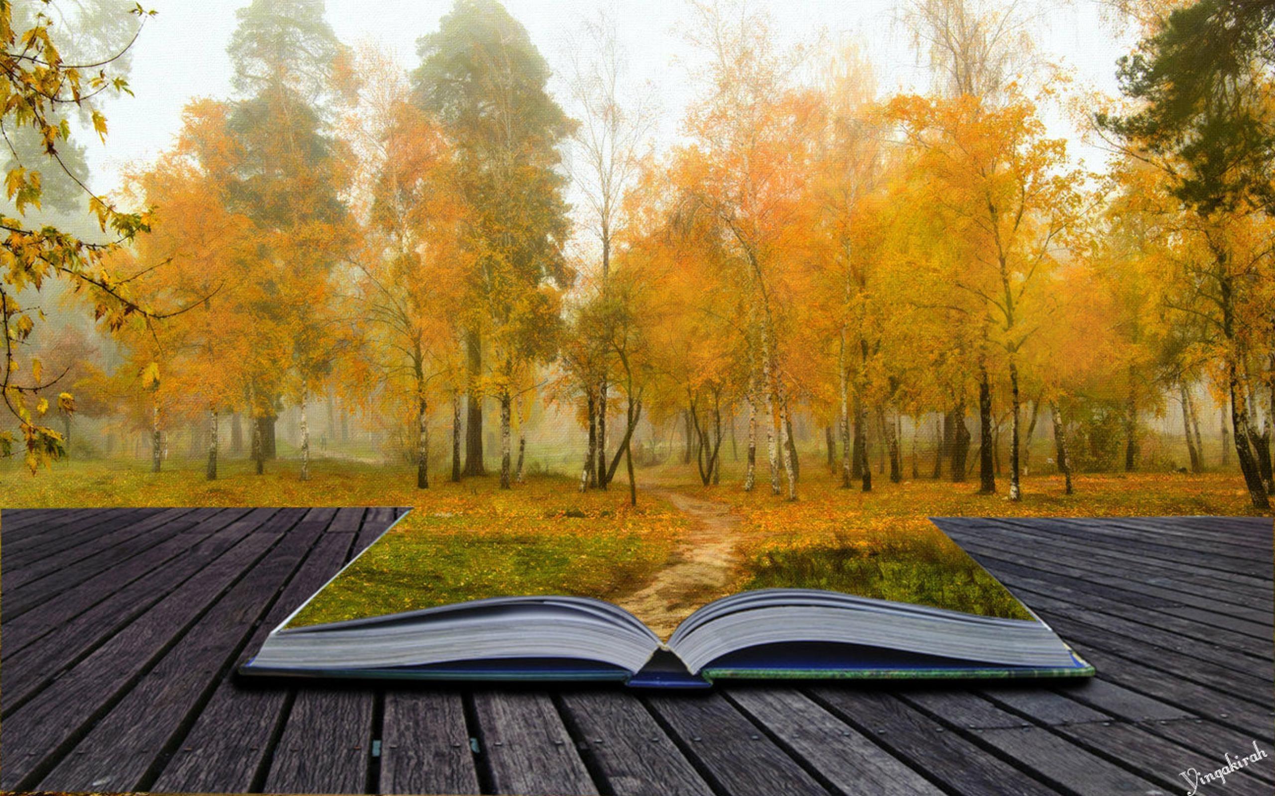 Пейзаж в поэзии. Книга на фоне природы. Книги про осень. Осень книги фон. Книга природа.