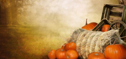 Тыквенный спас 2023