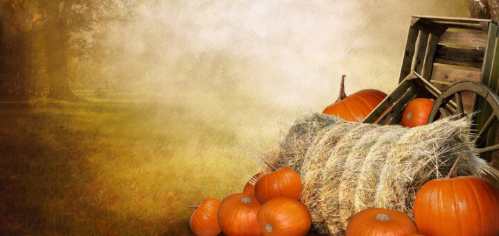 Тыквенный спас 2023