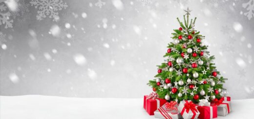 новогодняя елка 2024