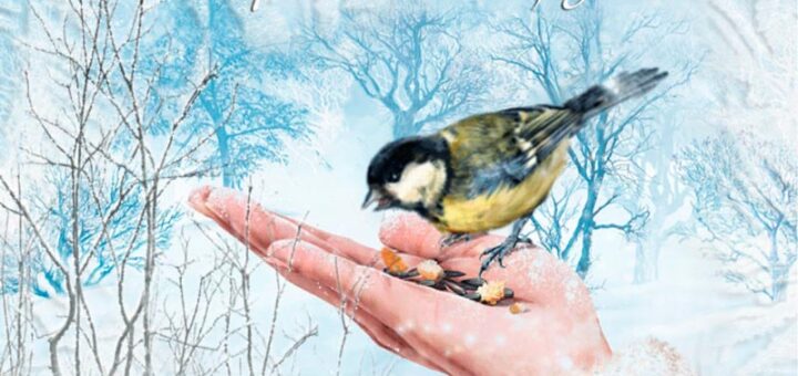 Покормите птиц зимой 2023