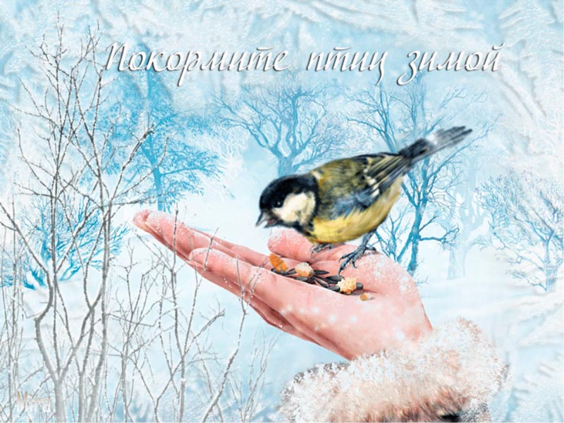 Покормите птиц зимой 2023
