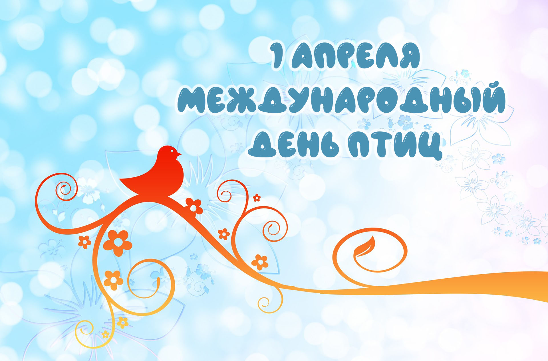 день птиц 2024