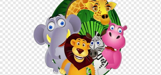 Зоологические забеги 2024.jpg