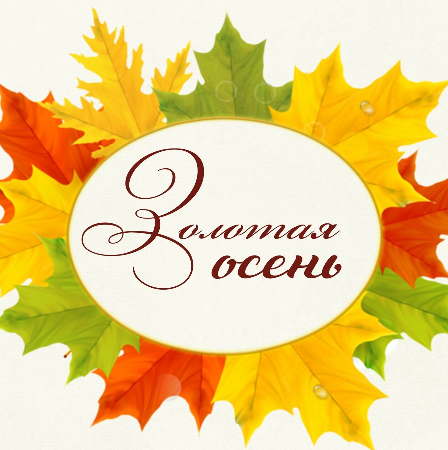 Золотая осень 2024
