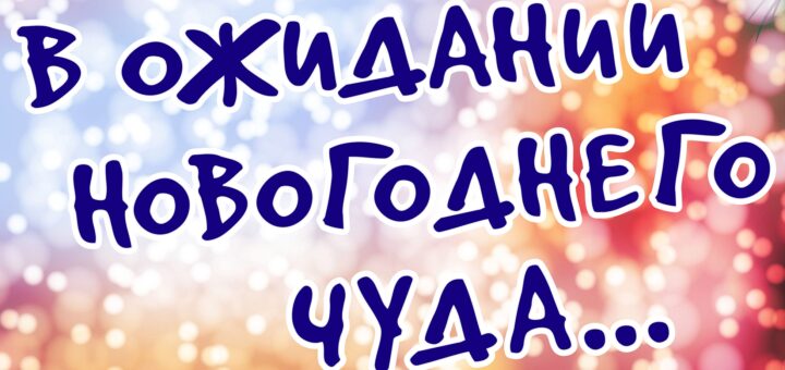 Новогодние чудеса
