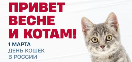 день кошек 2025