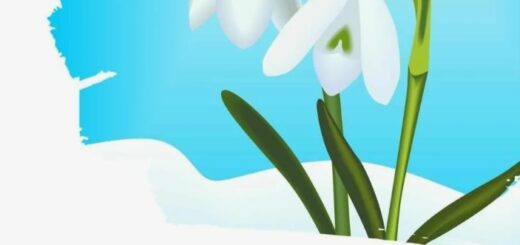 день подснежника 2025