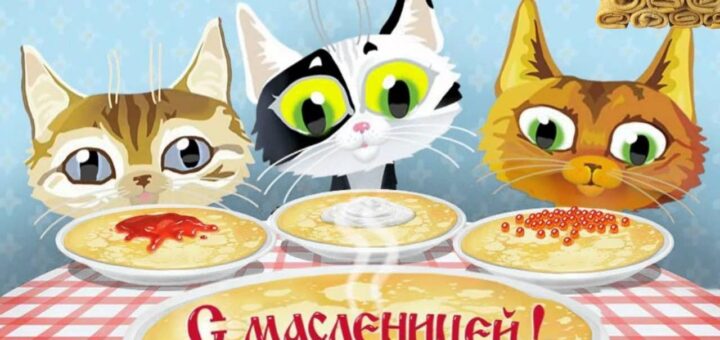 масленица картинка 2025 коты