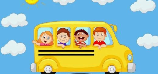 Мы едем в лето