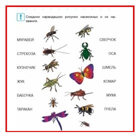 Назови насекомых