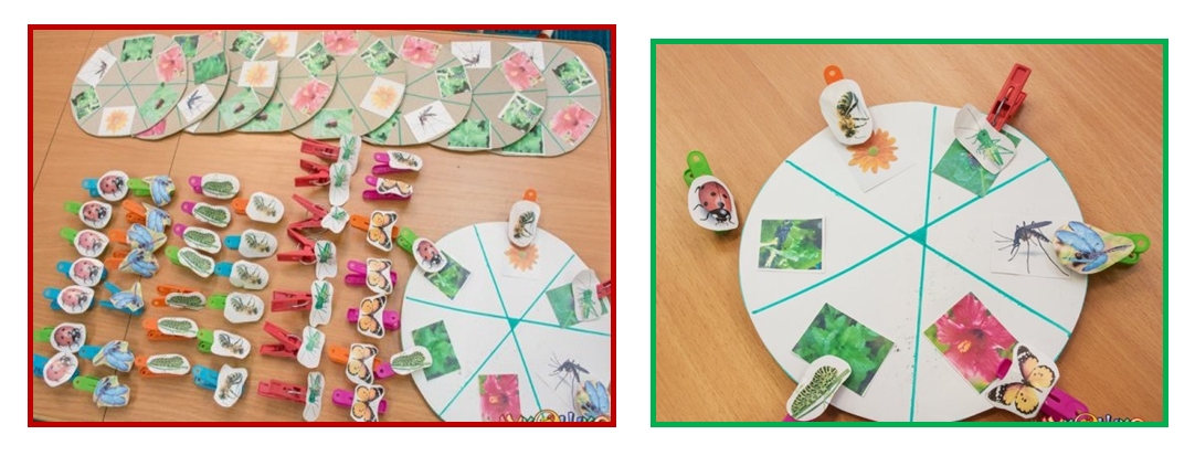 насекомы питание