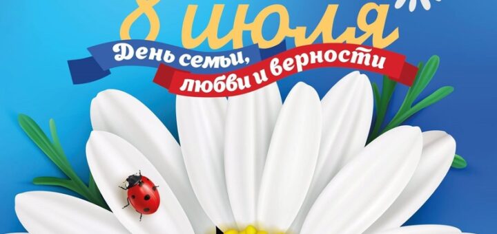 ромашка 8 июля