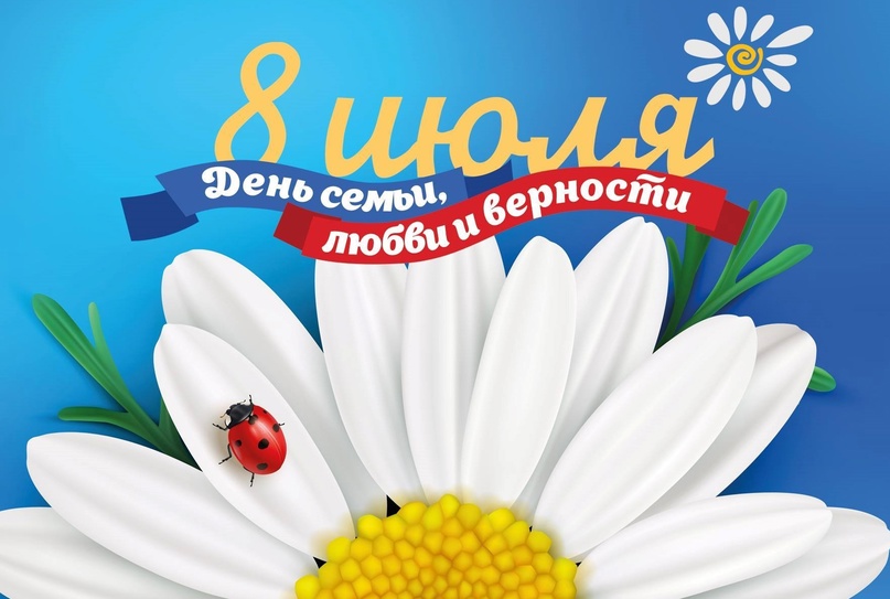 ромашка 8 июля