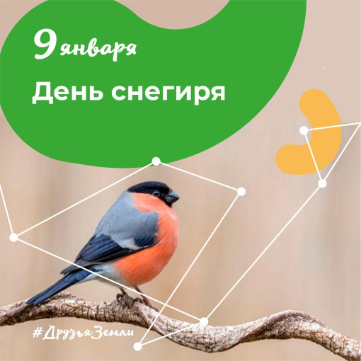 День снегиря 2026